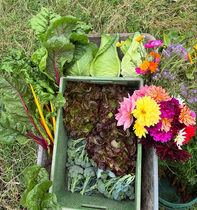 520837585_17997092279802894_8287799002187934188_n.